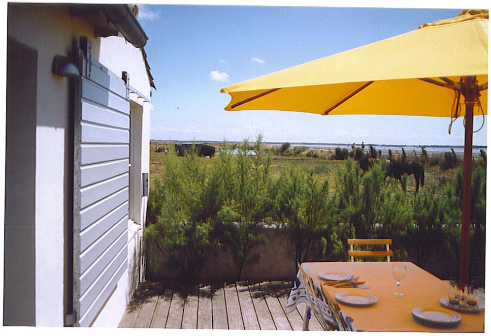 terrasse côté marais