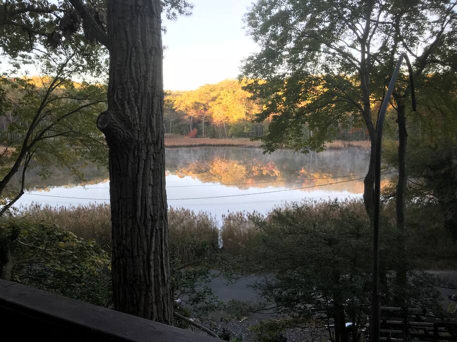 Another shot of the view.