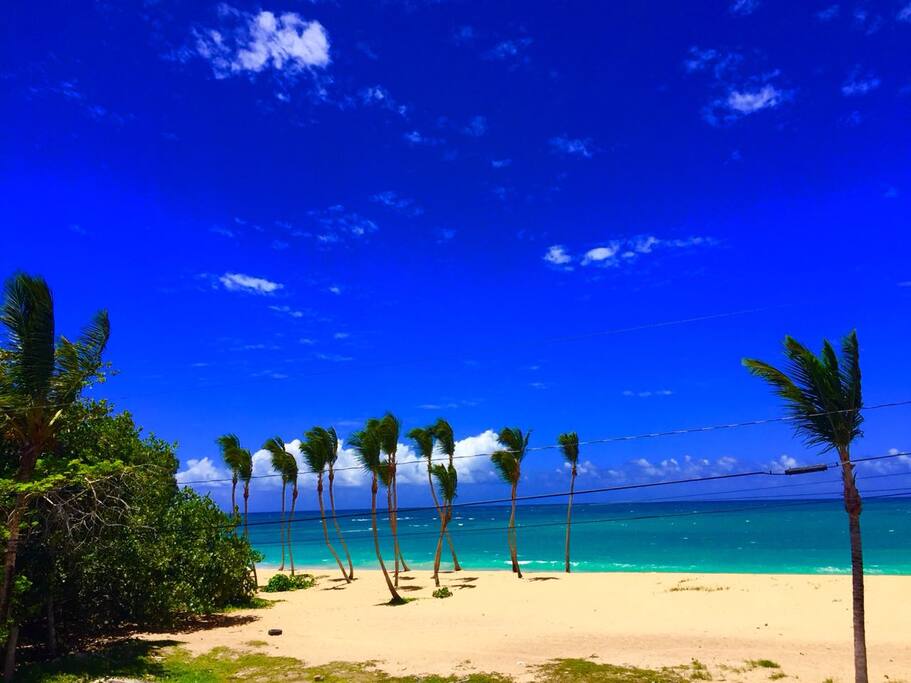 Gorgeous Beach