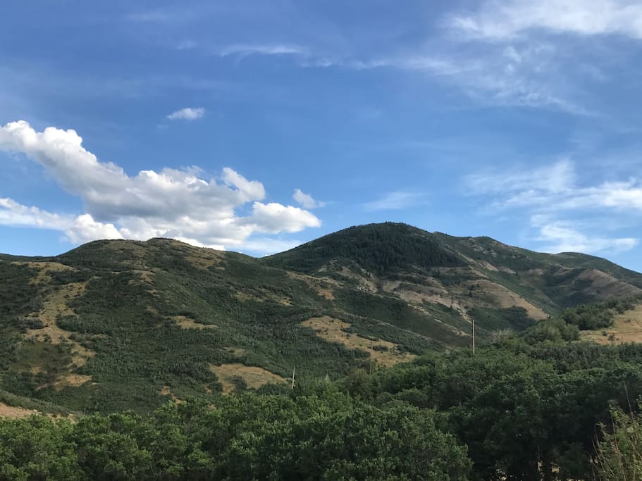 view