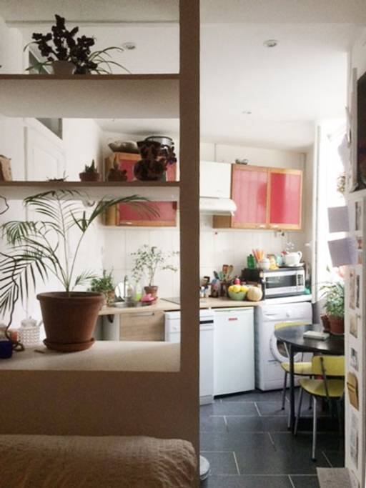 Studio avec salon/chambre et cuisine I Studio with living room / bedroom and kitchen