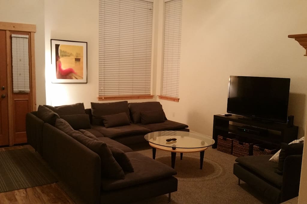 large sectional couch sleeps 2 easy.