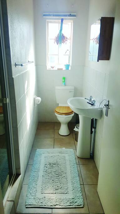 Shower with toilet (en suite to bedroom)