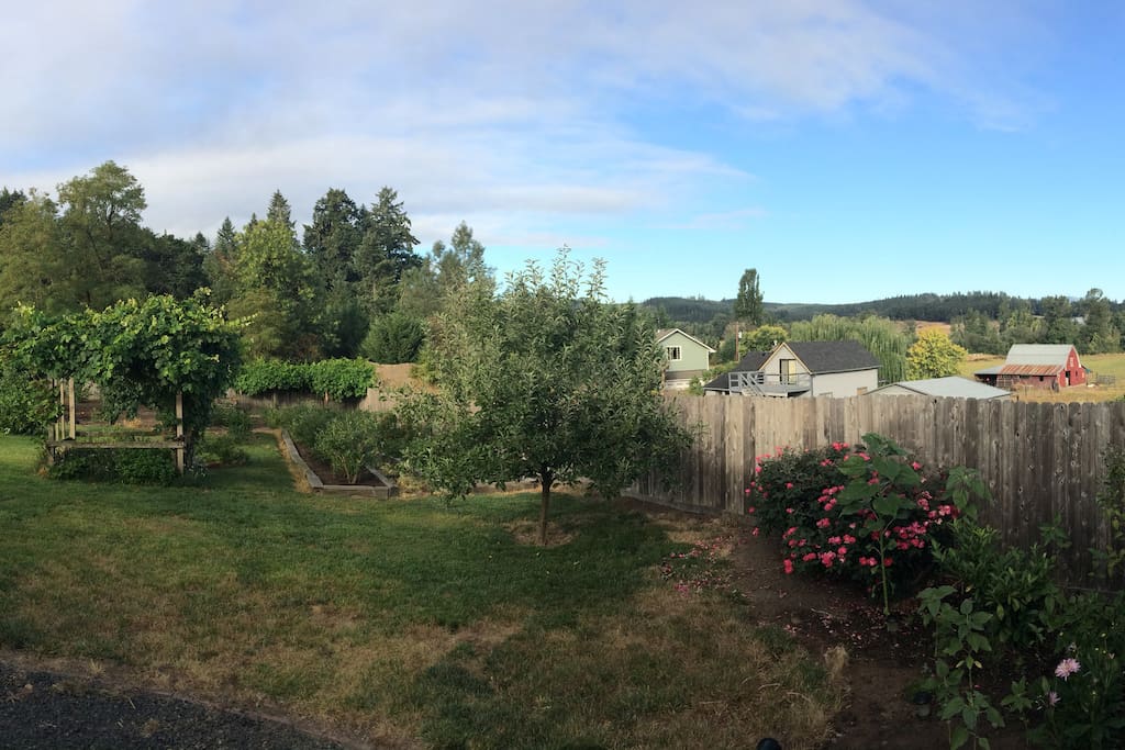 Back yard overlooks the coast range.
