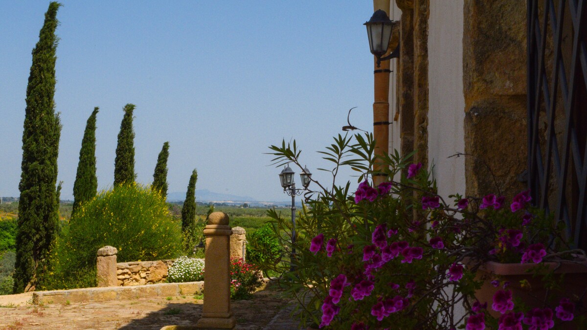 A tranquil pathway is bordered by lush green bushes and flowering plants. Towering cypress trees line the horizon, creating a scenic backdrop against the clear blue sky. Historic stone walls enhance the rustic charm, while vintage lanterns add an inviting touch to the pathway.