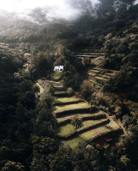 Forest House – Hideaway in the National Park