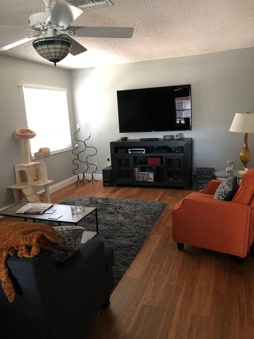 Living room with 65 inch tv