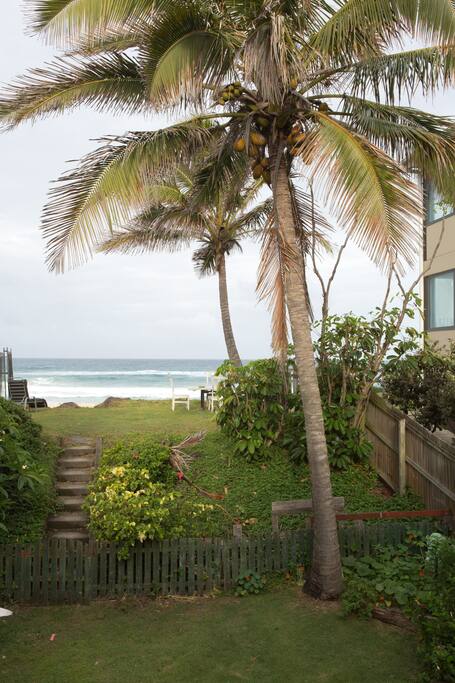 actual view from balcony