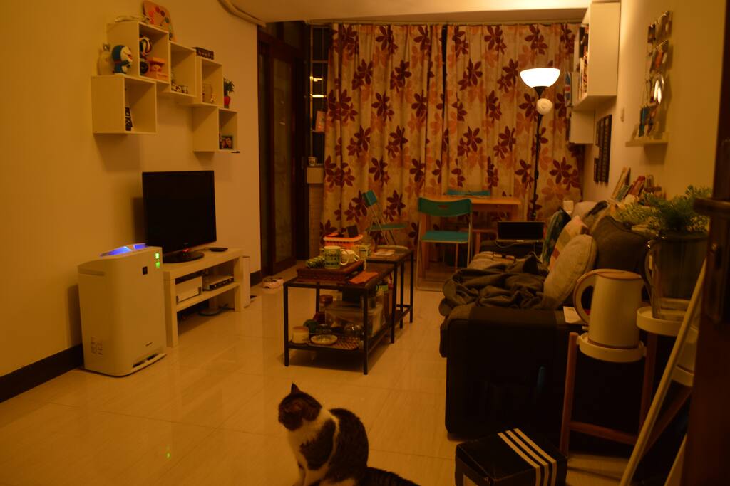 客厅living room