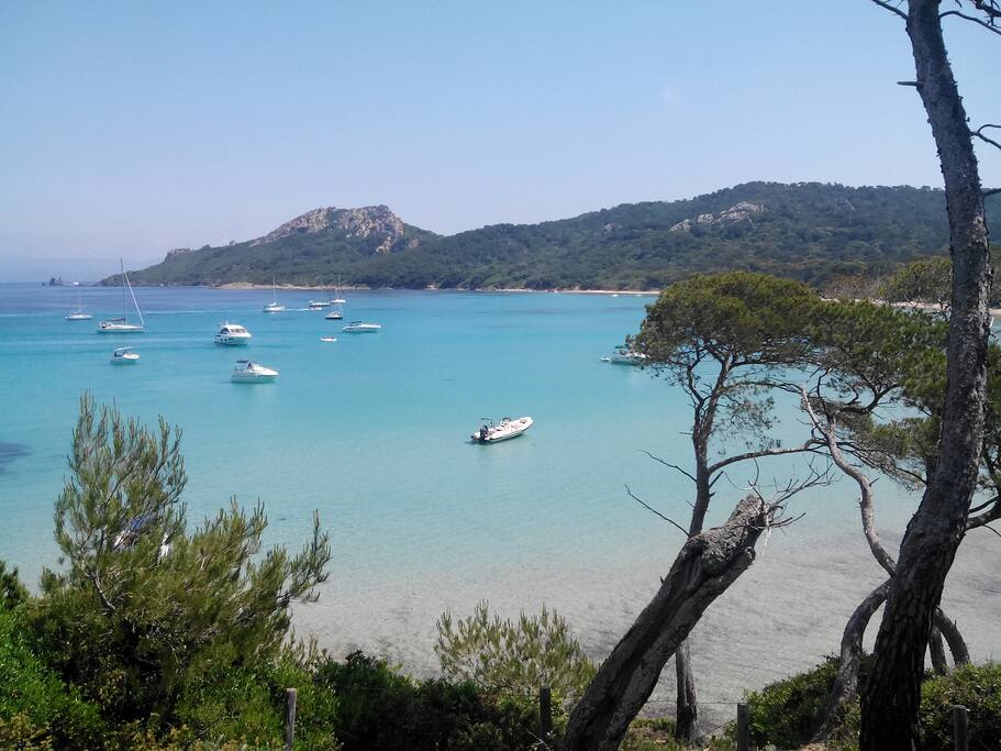 Porquerolles - Plage de notre dame - Bateau à 10 minutes