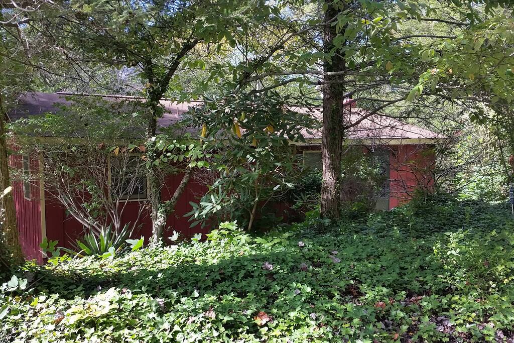 Front of cottage from driveway
