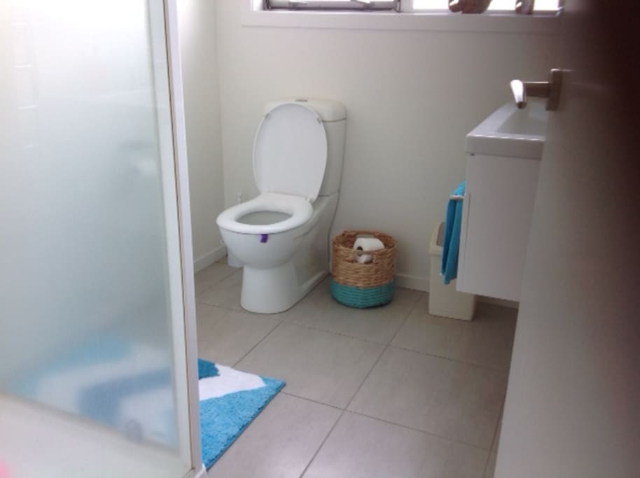 1 Bathroom plus tiolet