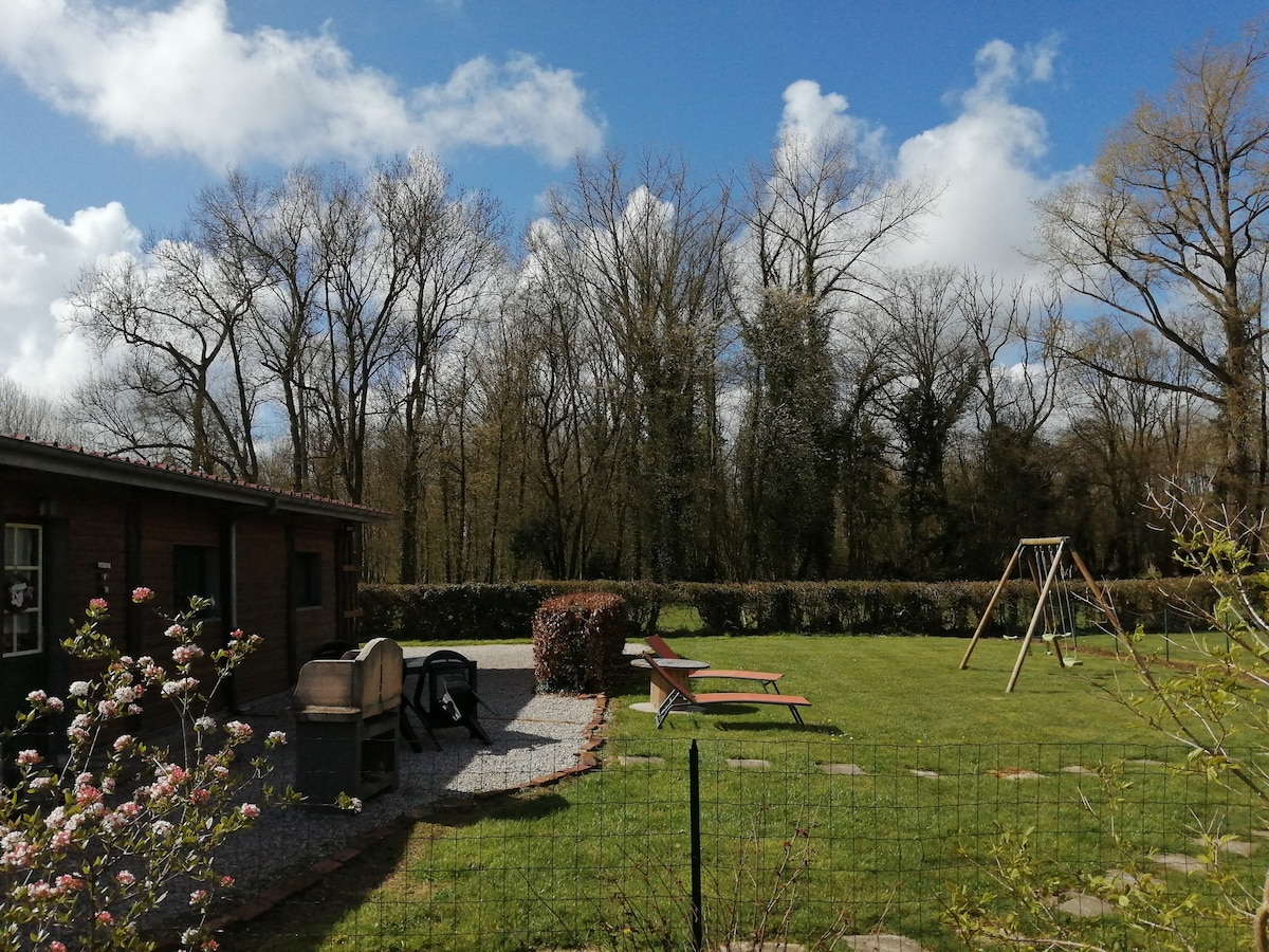 A spacious outdoor area is visible, featuring a grassy lawn bordered by trees. Two lounge chairs and a swing set are positioned on the lawn, while a gravel path leads to a seating area with chairs. A low hedgerow defines the garden's perimeter.