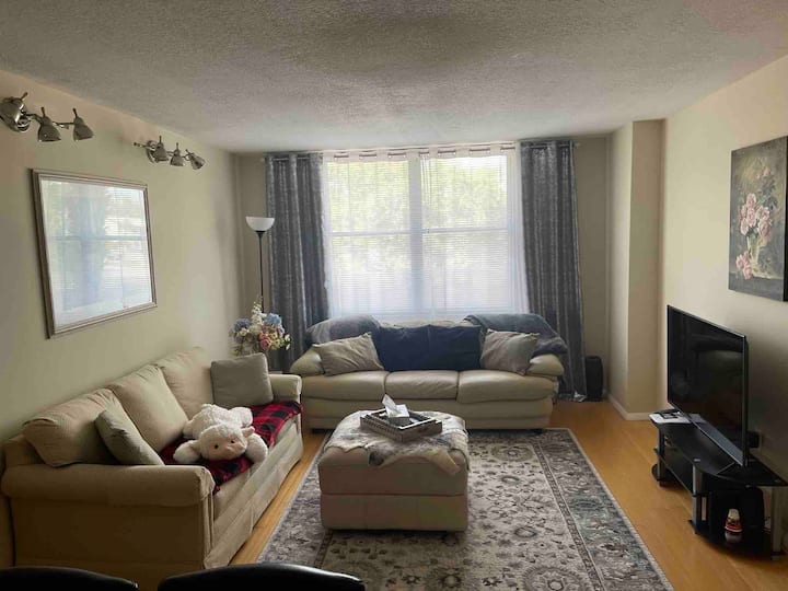 Lovely 2 Bedroom Condo With Pool - Clearwater, FL