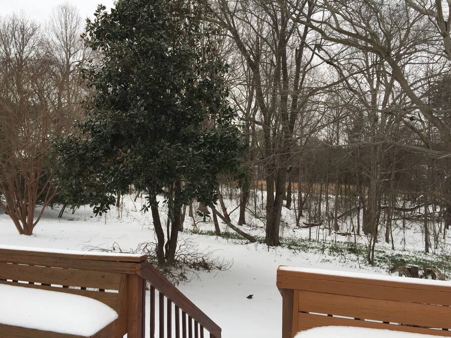 Privacy abounds in the deep back yard