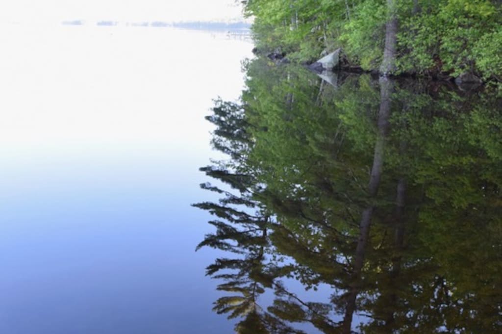 Anyone up for a morning in the kayaks?