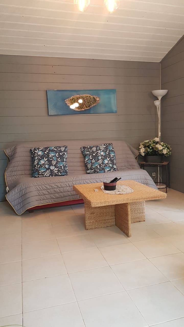 Appartement Lumineux Avec Jardin - Médis