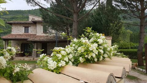 Farmhouse with pool and whirlpool:"Casa Lavanda"