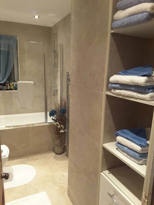 Guest bathroom