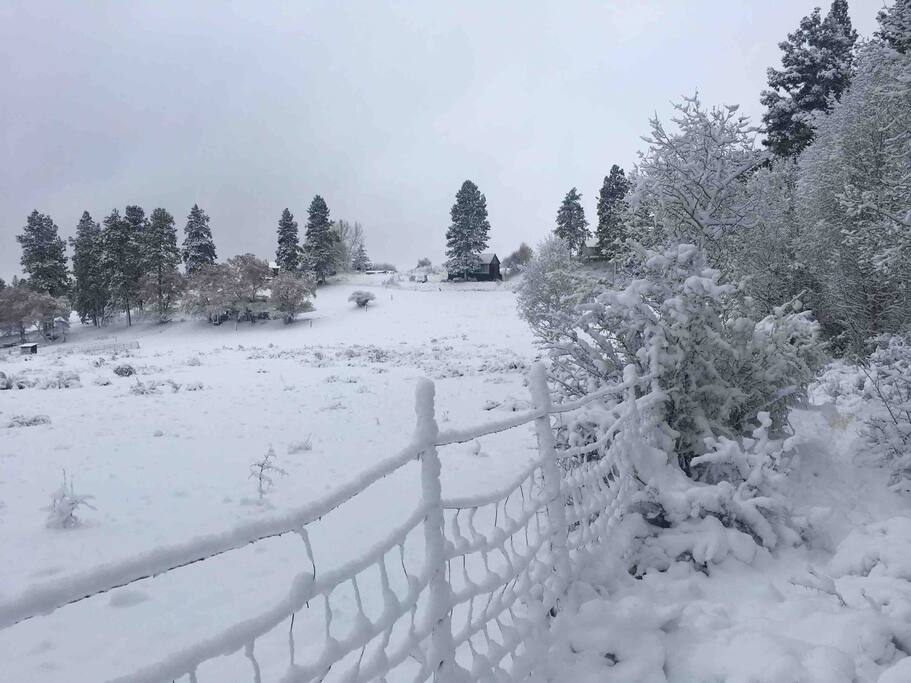 Winter has come to Quail Run! Come and play in the snow!