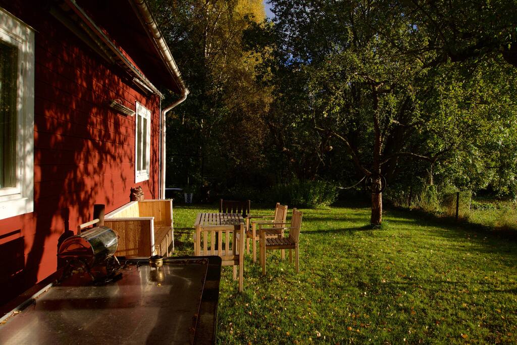 Back yard. Sunny all day long
