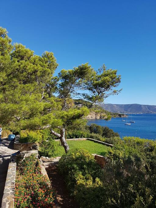 Jardin de 3800 m2 pieds dans l eau