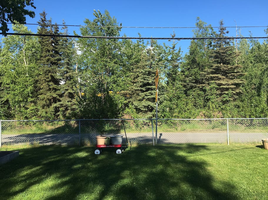 Hang out in the yard and watch the train go by (yellow engine just through trees)