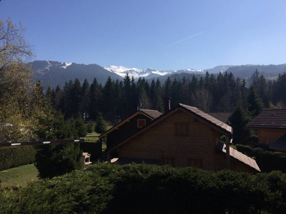 View from bedroom window