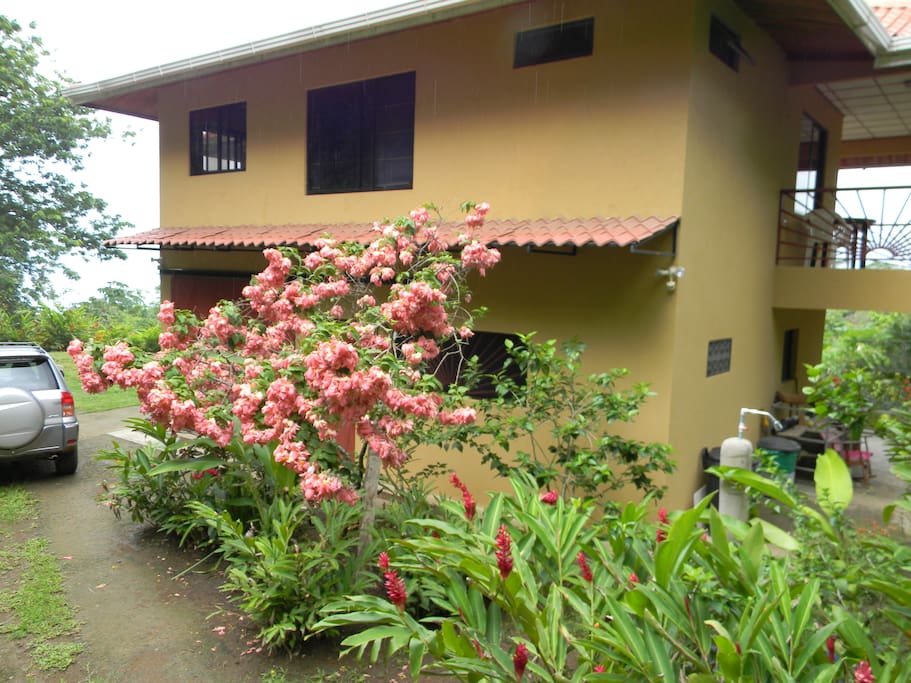 The upstairs is your apartment. It has a private entrance and an amazing wrap around deck.