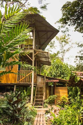 Guest favorite listing in Southern Caribbean Coast