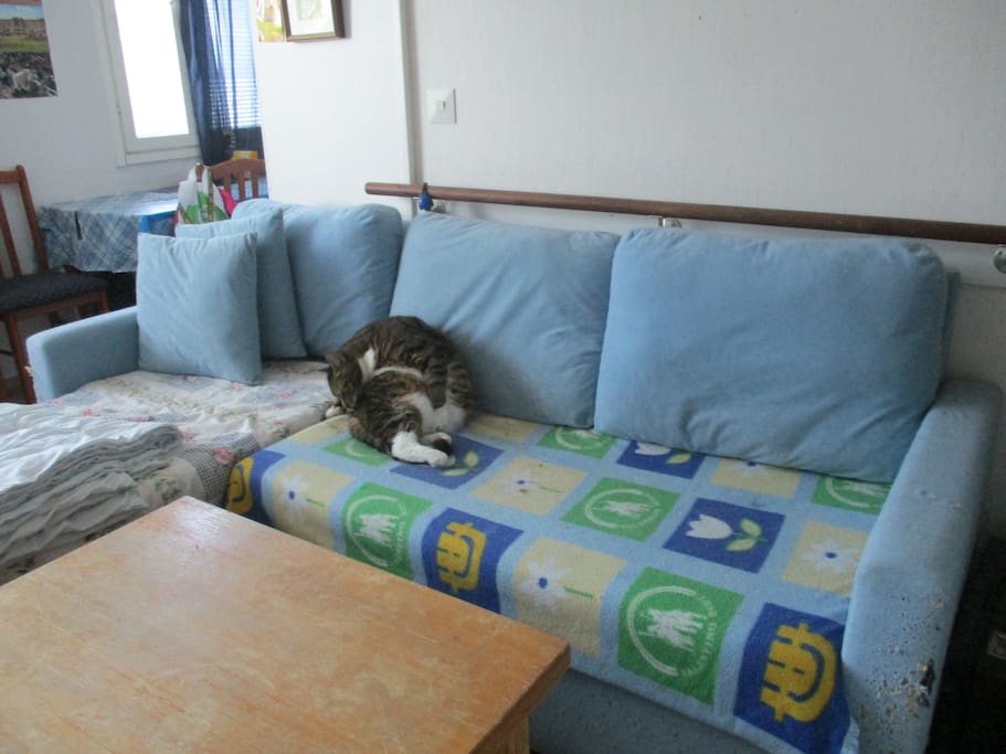 Living room 2