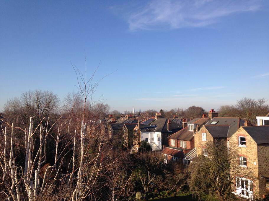 The view from the terrace