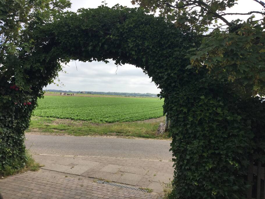 Uitzicht vanuit het chalet