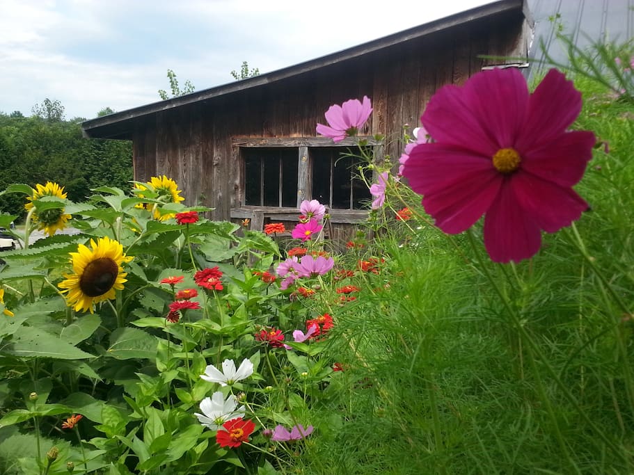 Flower gardens