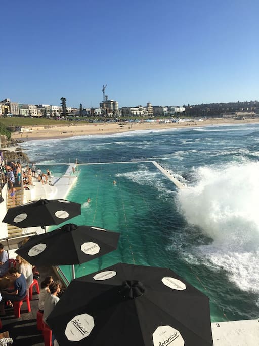 Bondi Icebergs