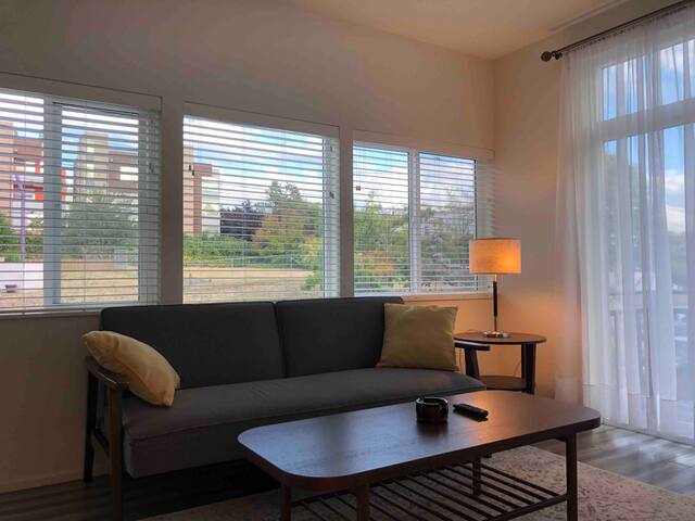 New townhouse 3BR/2BR rooftop deck central Seattle gallery image 5