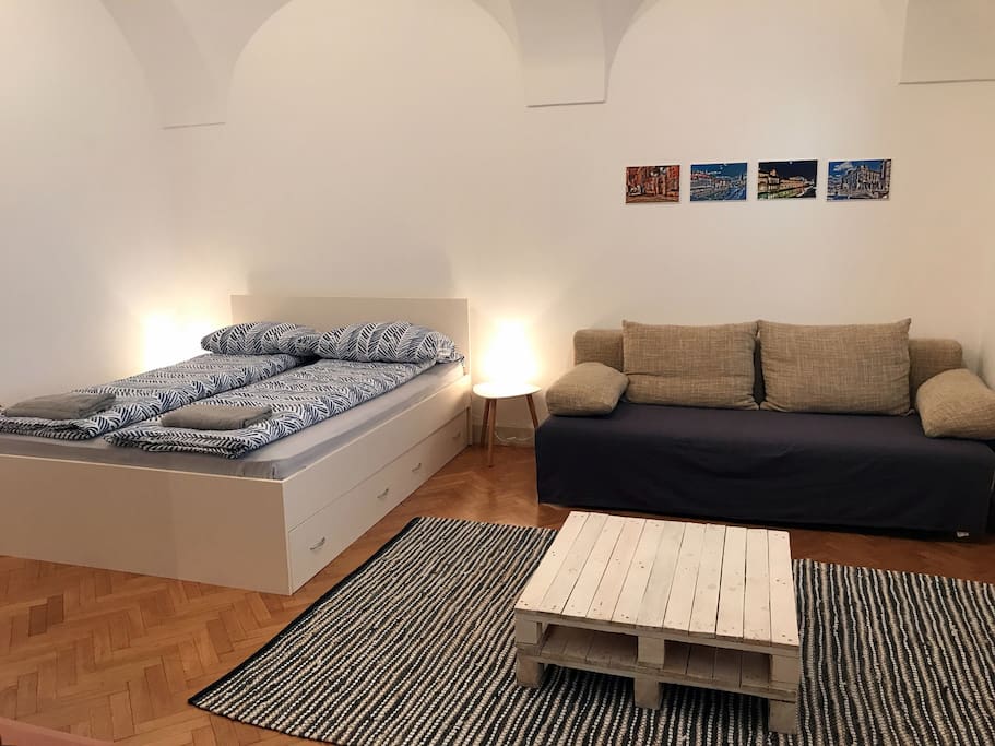 Comfortable queen sized bed and pull out sofa