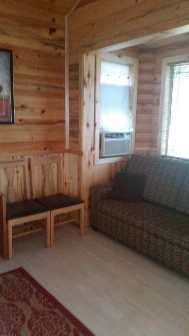 Couch with pull out full size bed