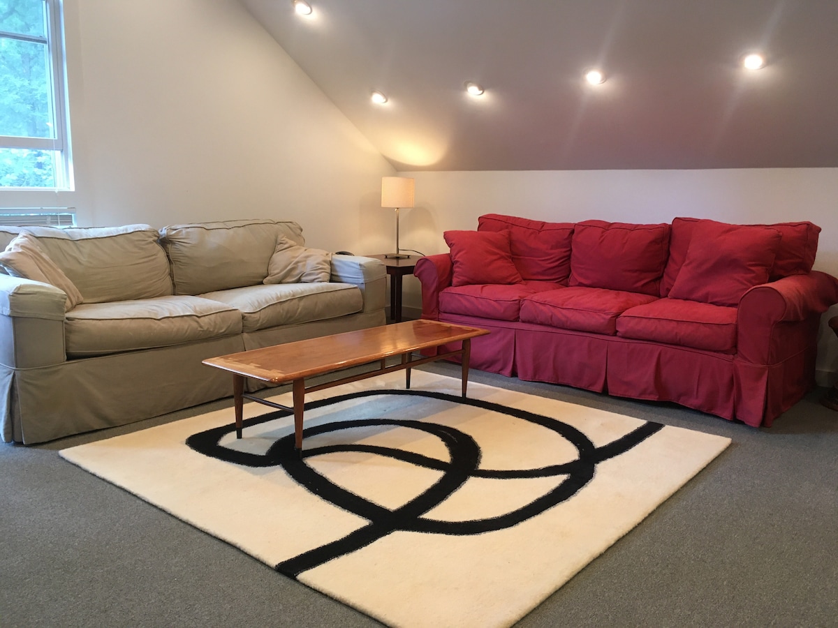A cozy seating area features a light-colored sofa and a red sofa, both positioned around a wooden coffee table. A modern area rug is laid beneath them, while strategically placed lights illuminate the space from above.