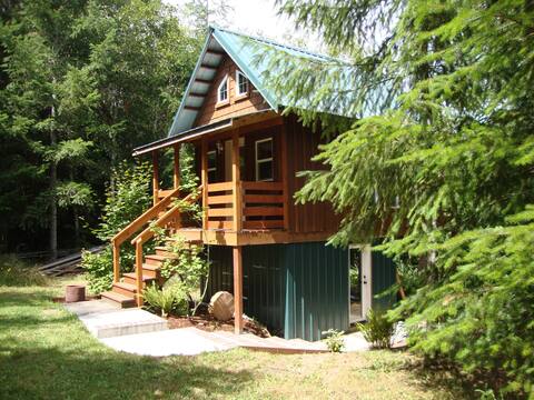 Little Cabin in the Forest
