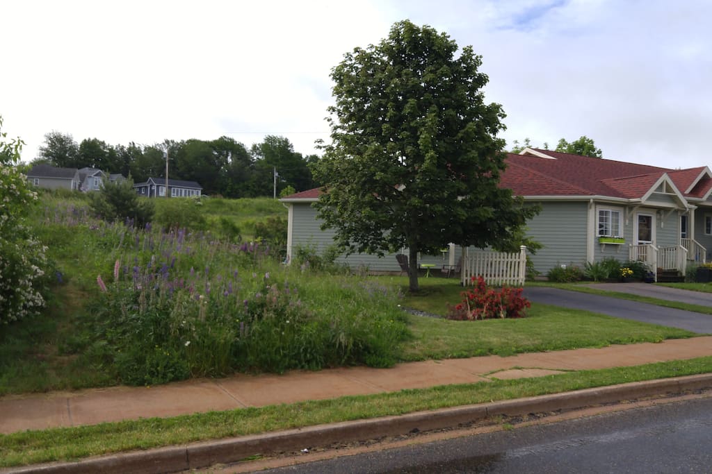 View of my home from beginning of my street
