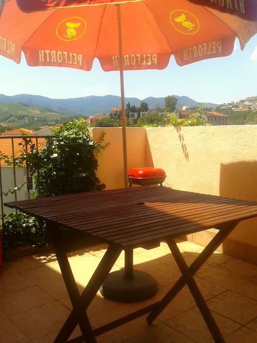 Vue panoramique depuis la terrasse