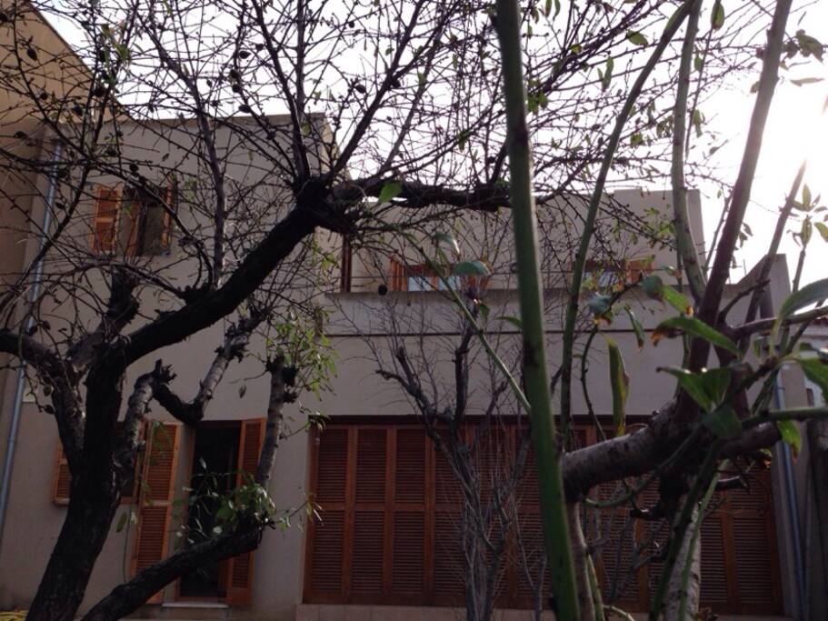 Casa desde el jardín