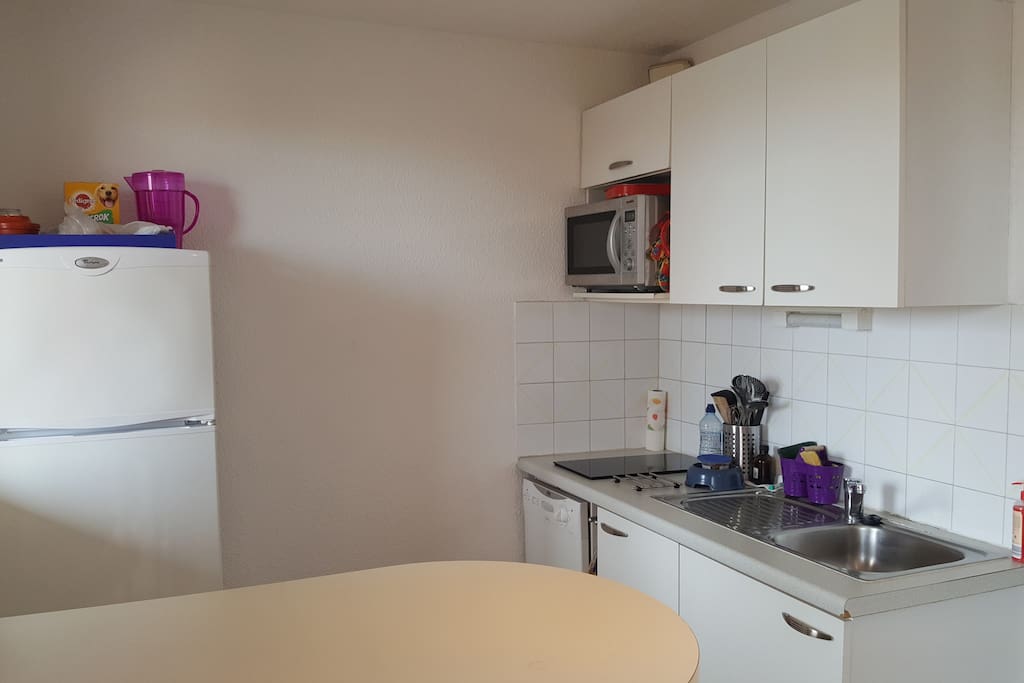 Kitchenette avec plaques vitrocéramiques, Lave vaisselle, Micro-ondes et grand réfrigérateur.