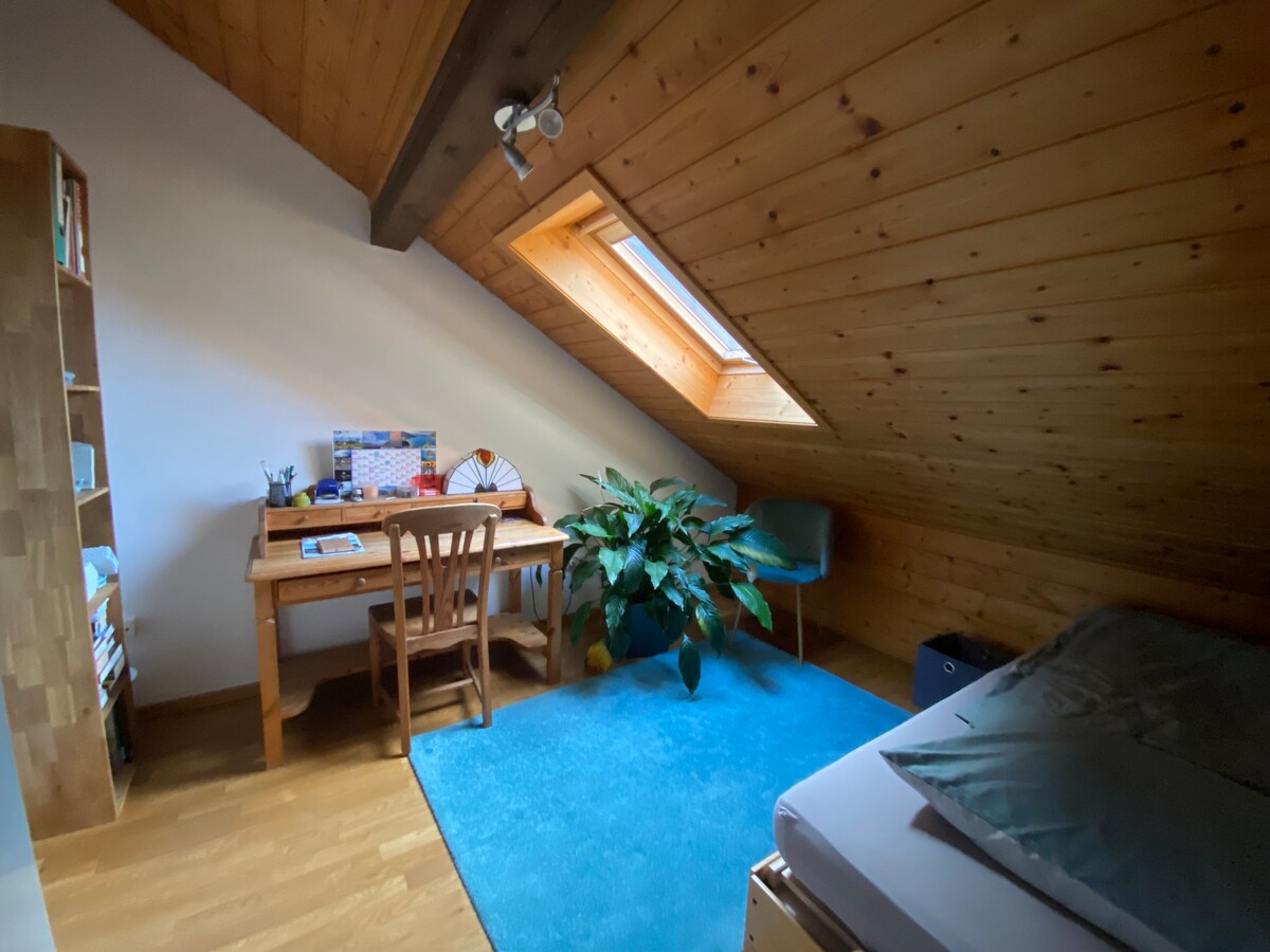 A small room is featured with wooden beams and a sloped ceiling. A skylight allows natural light to enter, illuminating a desk and chair. A potted plant adds a touch of greenery, while a soft rug enhances comfort beside a spacious bed.
