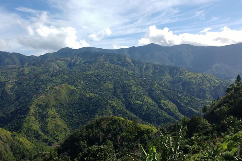 Welcome to Jamaica's Blue Mountains!