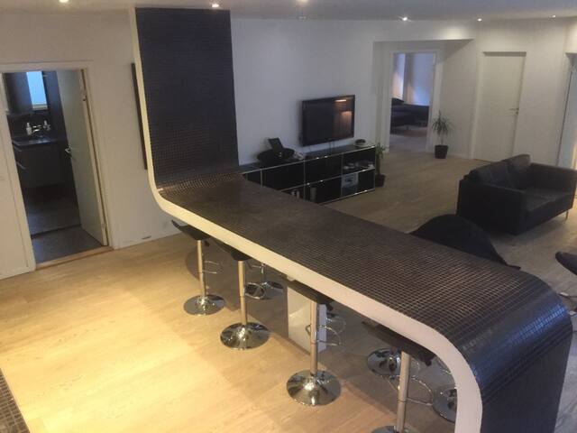 160 qm apartment in central Copenhagen City gallery image 4