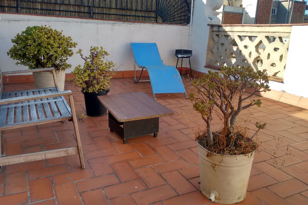 The other side of the terrace with a rustic bench and plants