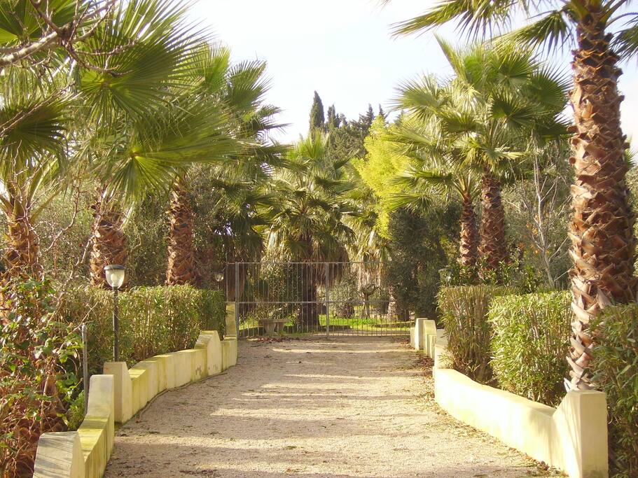 vialetto in ghiaia che porta alla campagna