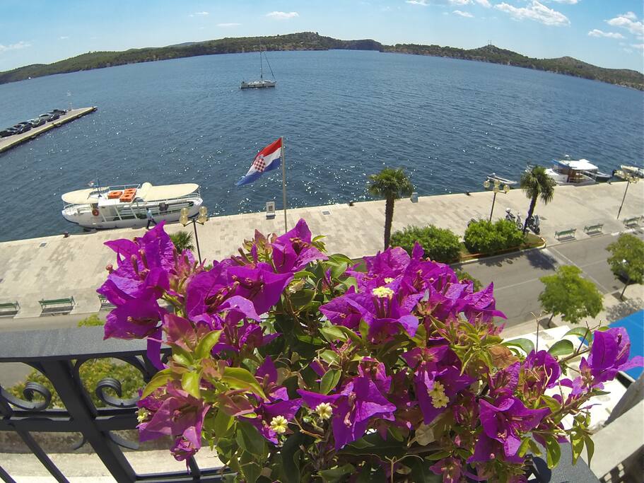 View from terrace